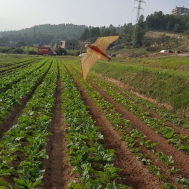 Instalação do Falcão Espantalho em Horta