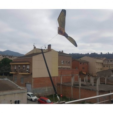 Falcão Voador para Varanda