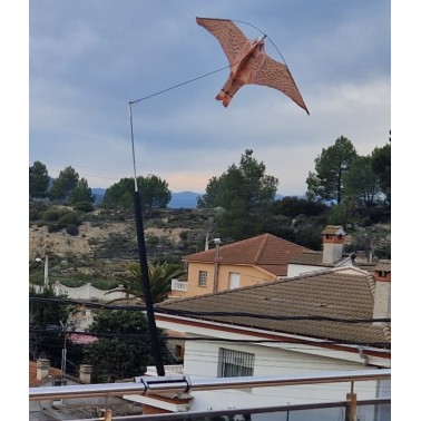 Falcão Voador para Varanda