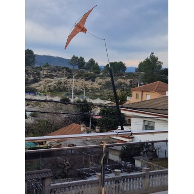 Falcão Voador para Varanda