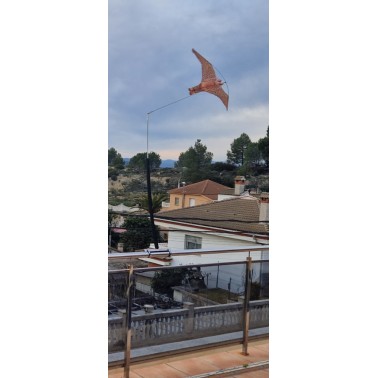 Falcão Voador para Varanda