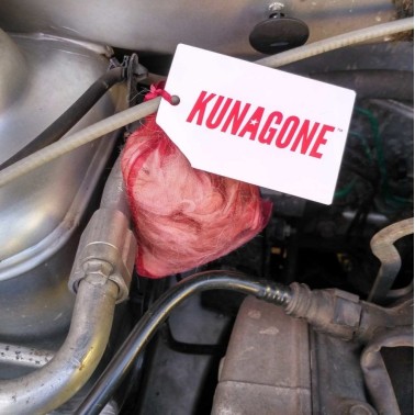 Repelente Natural para Martas – Kunagone | BirdGard Iberia