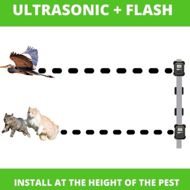 Garden Protector 4 com Flash | Repelente Ultrassónico de Animais