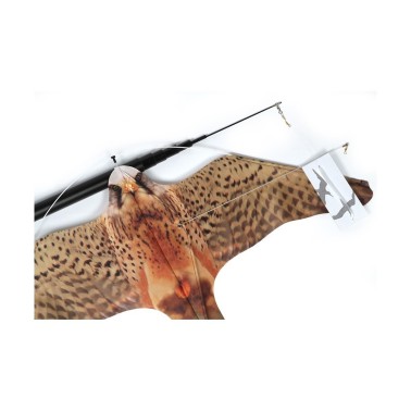 Pack de Controlo de Aves para Condomínios | Solução Completa e Discreta