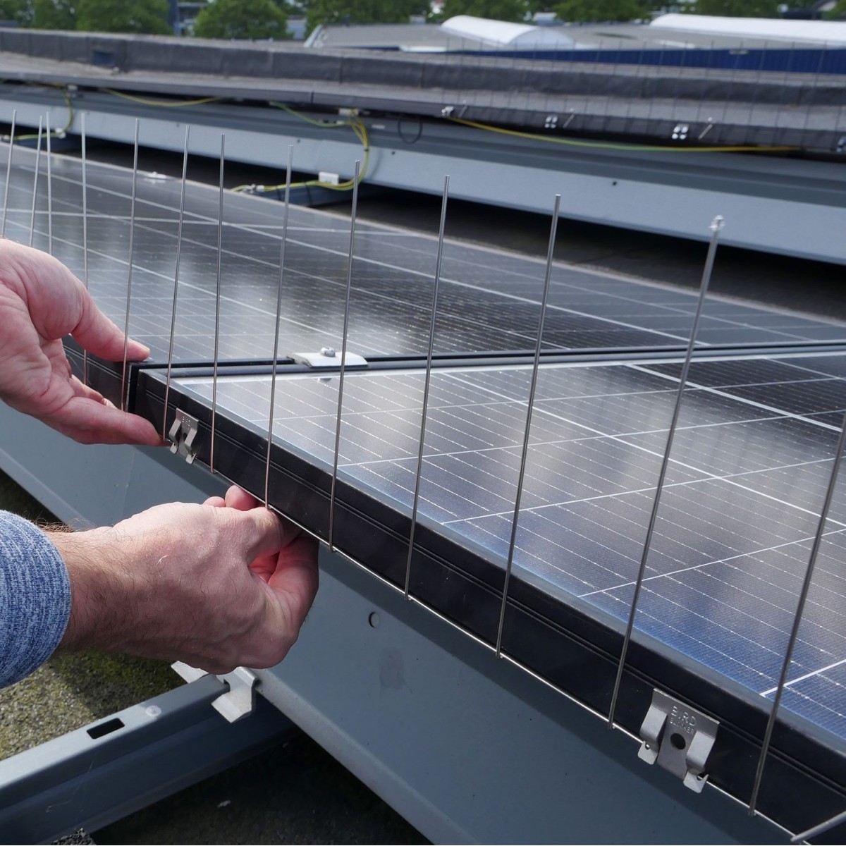 BirdBlocker BB-TopGuard | Dissuasor para Painéis Solares