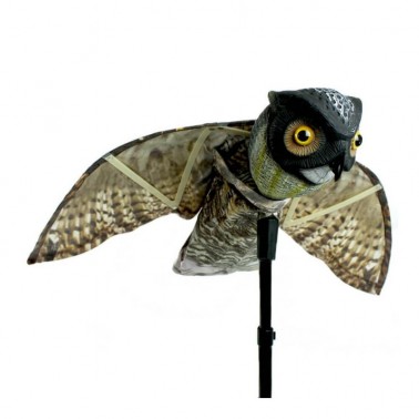Coruja Espanta Pássaros - Prowler Owl