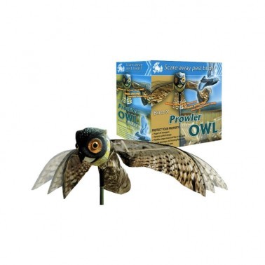 Coruja Espantalho - Prowler Owl com Embalagem