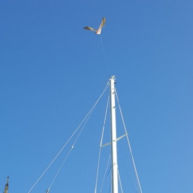 StopGull Falcon Instalado num Barco no Porto