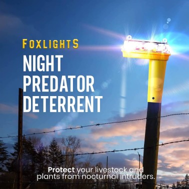 FoxLights Solar Dissuasor de Predadores Noturnos