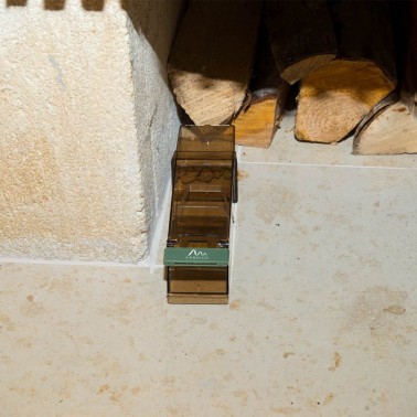 Armadilha para Ratos no Exterior da Casa