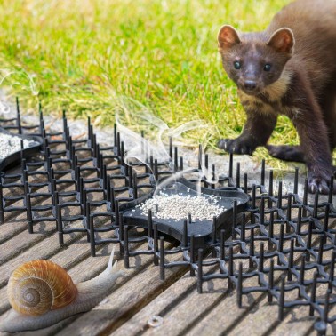 Faixas com Picos Repelentes Anti Gatos