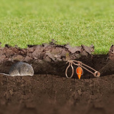 Armadilhas para Toupeiras muito eficazes