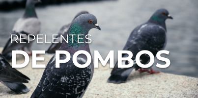 Ahuyentadores de Palomas